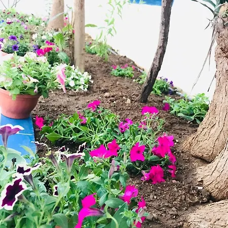 Hotell Nil Mars Bodrum